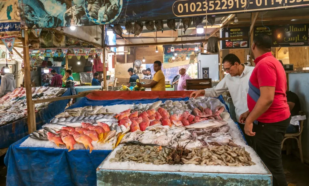 fish-farming-Egyptimage-recBNoyPYjFRUYQff-1